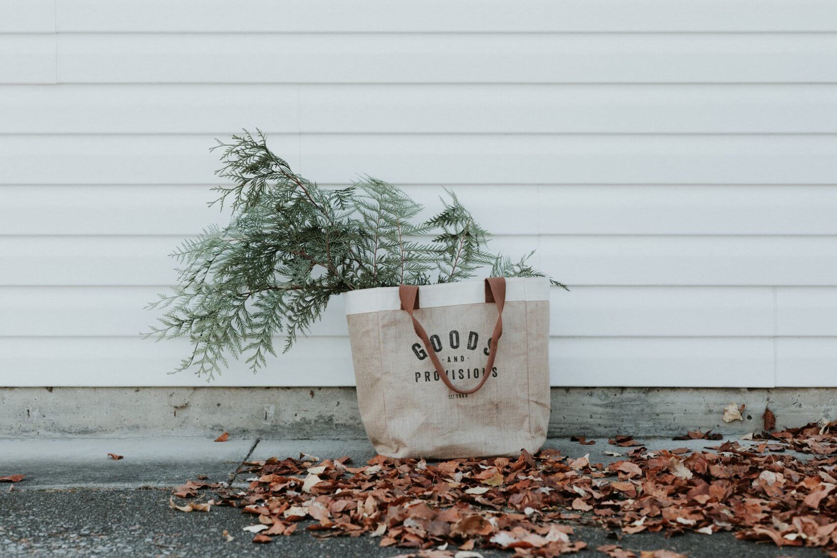 Plants in a Bag